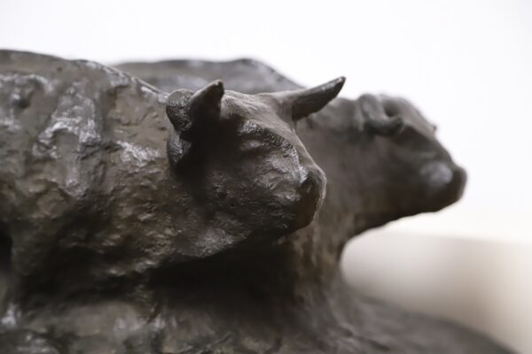 Juan Gavagnin - Image 3