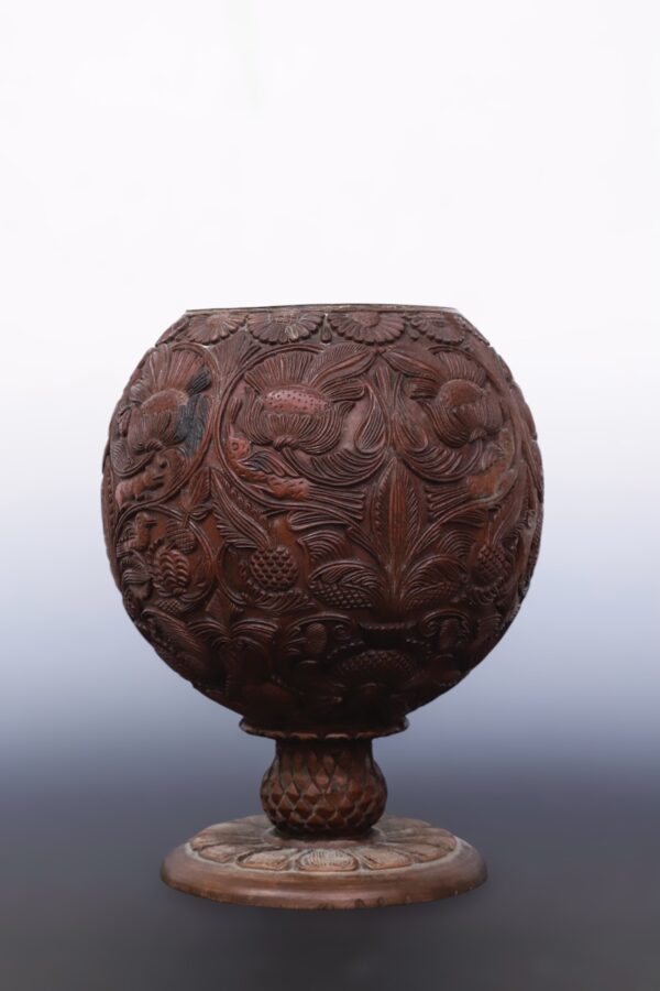 Cocobolo - Image 2